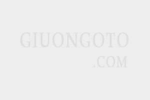 giuong-may-bay-cuc-chat-f888-title